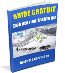 Guide : débuter en traineau
