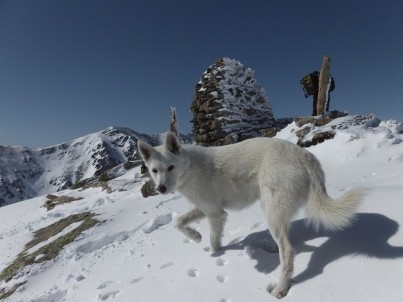 Galak à la neige