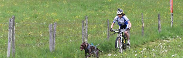 Cani-vtt