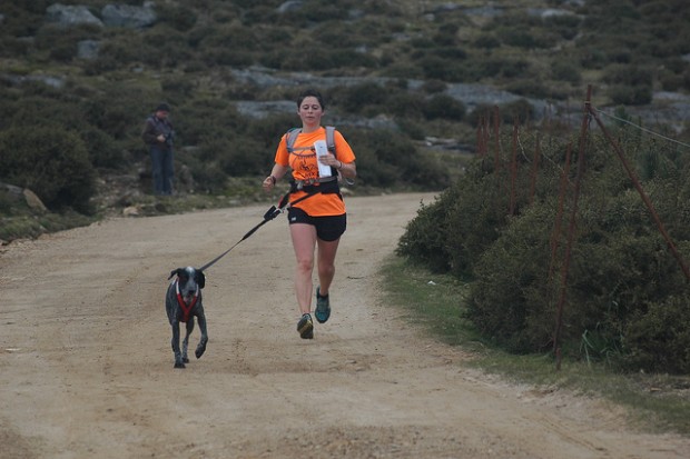 comment apprendre à son chien le canicross
