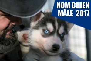 Plus 600 de vrais noms de chiens en M pour 2016! - Musher Plus 600 de vrais noms de chiens en M pour 2016! - Musher