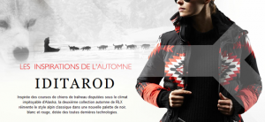 iditarod ralph lauren chiens de traineau