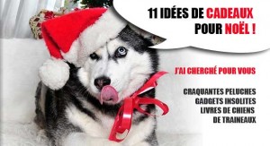 noel-husky-idees-cadeaux-615