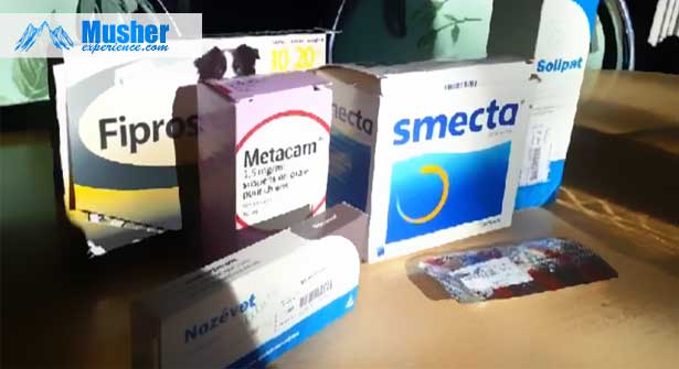 Smecta chien : médicament contre la diarrhée