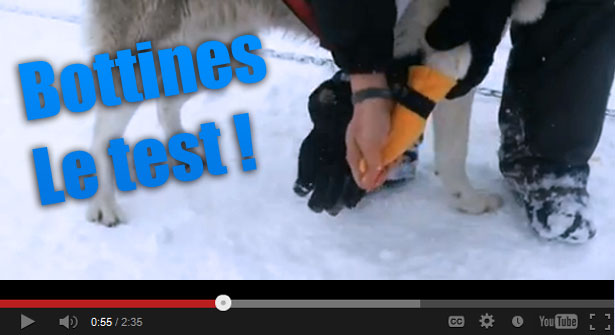 Bottines de neige pour chiens: le test en vidéo