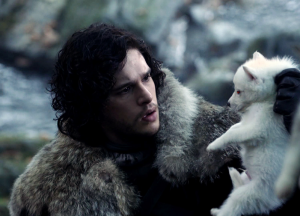 Bébé loup dans Game of Thrones