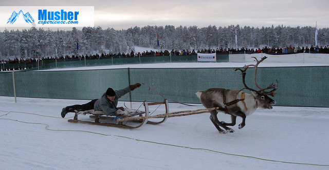 Voyage en Laponie - Jokkmokk, Suède