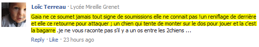 Une chienne qui ne se laisse pas faire?