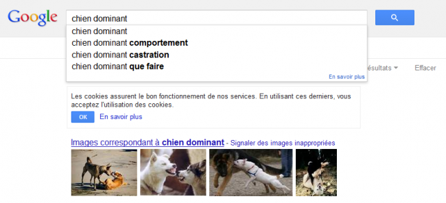 Chien dominant - recherche Google