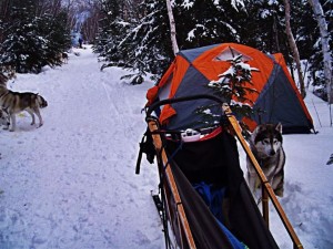 Chien de traineau et tente d'hiver