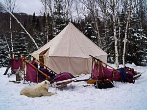 Tente et traineau à chiens