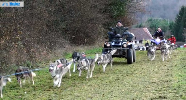 Week-end nordique : attelage chiens de traineau