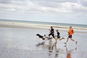 Canicross plage pour s'oxygéner