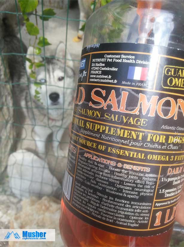 Huile de saumon sauvage pour chien