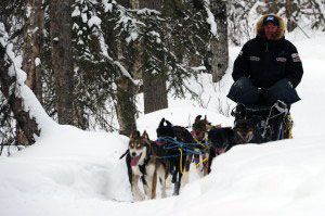 Coast-Guard-sponsored-Iditarod-musher-Ken-Anderson-exercises-members-of-his-sled-dog-team-maintaining-their-conditioning-in-preparation-for-the-Iditarod-Trail-Sled-Dog-Race-in-Knik-Alaska-Feb-29-2012