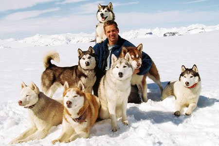 Antartica, Paul Walker