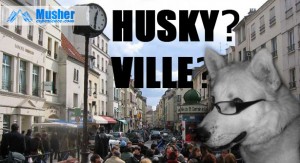 Husky en ville?