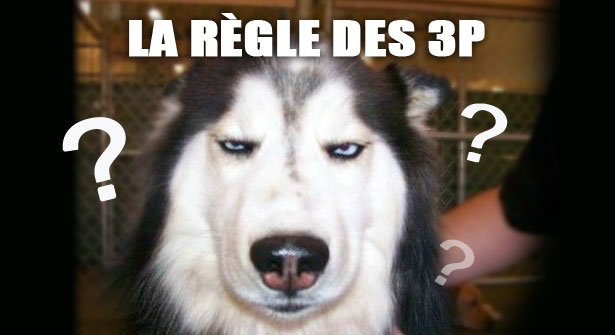 Secret d'éducation canine: règle des 3P