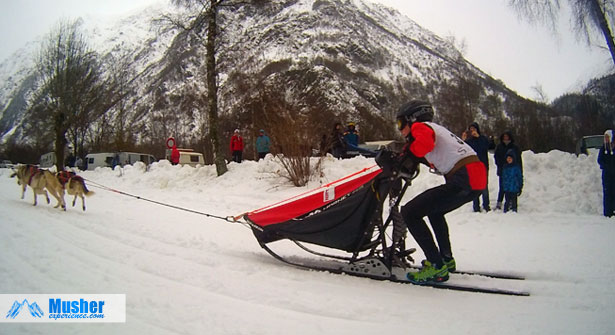 Sleddogs sprint, at Valgaude