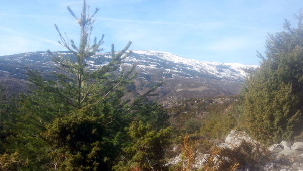 Bézaudun les Alpes