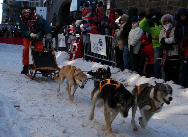 Course chien de traineau, Canada