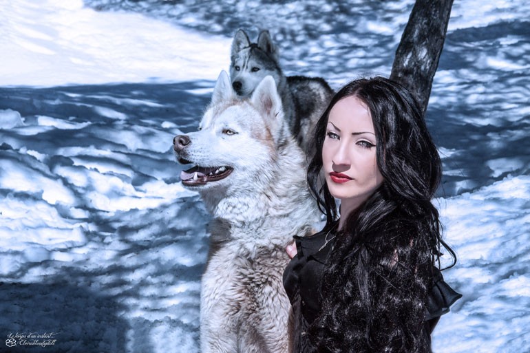 Husky dans la neige