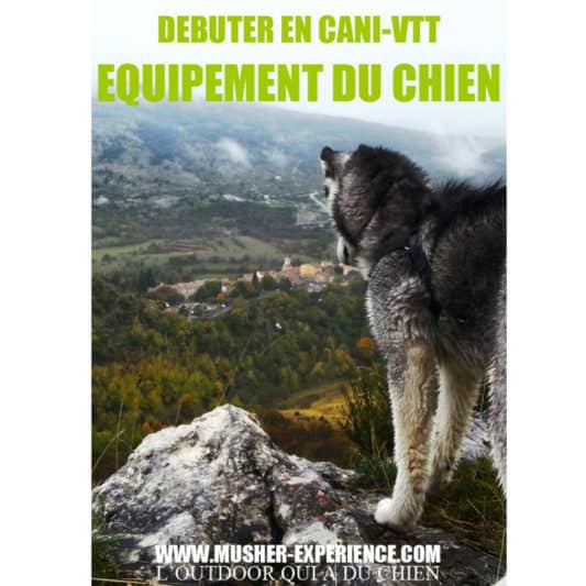 equipement debuter en canivtt bikejoring debutant