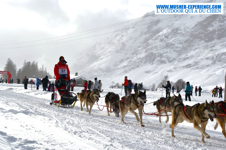 la-grande-odyessee-chien-traineau