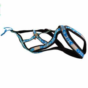 harnais canicross chien - xback manmat bleu glacial