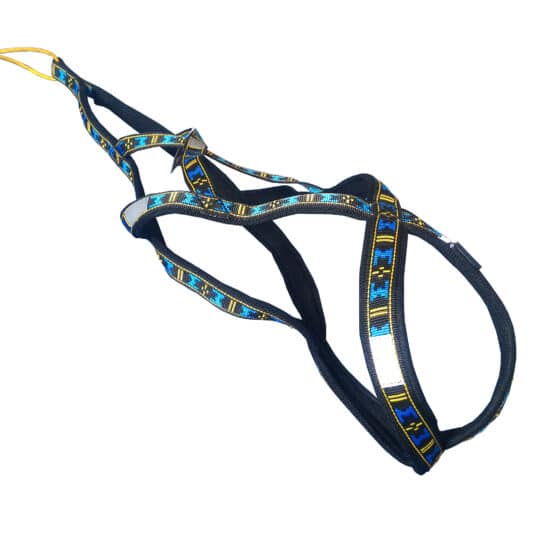 harnais xback Manmat classique bleu chien demi-profil