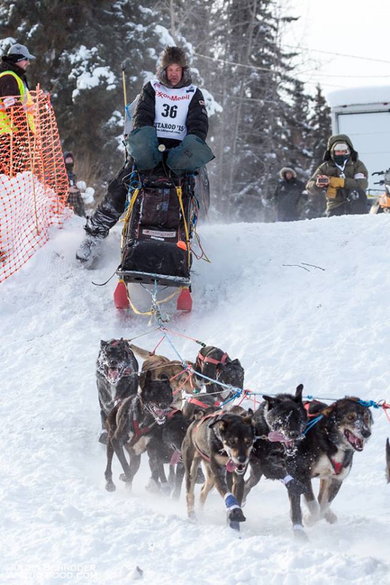 Ken Anderson et son attelage lors de l'Iditarod