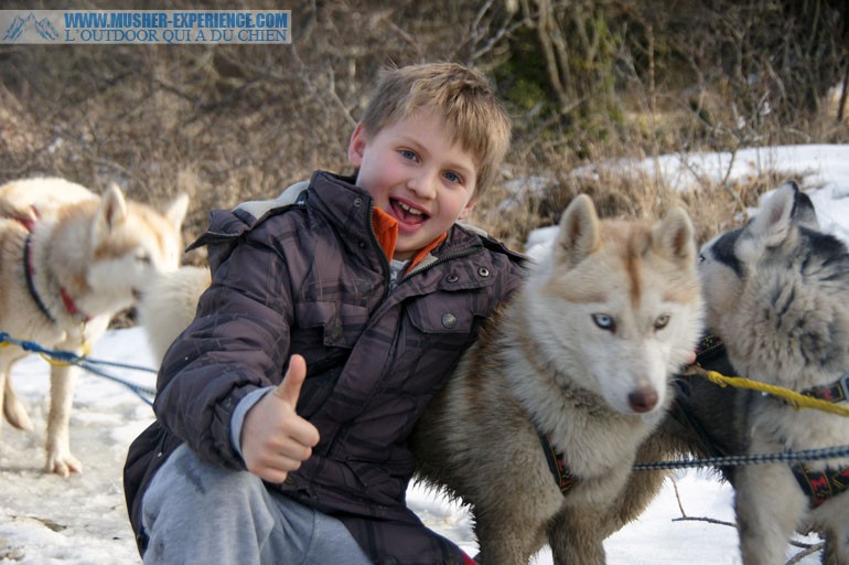 Enfant avec chien de traineau