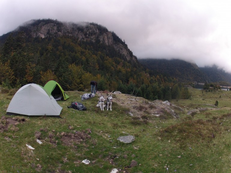 Mes chiens et nos tentes pour le bivouac