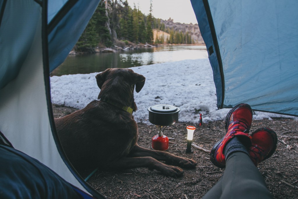 Randonnée avec son chien: lu0027astuce pour alléger votre sac à dos