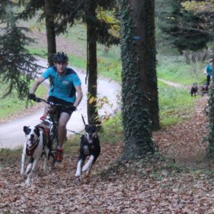 Canivtt (bikejoring) - VTT avec son chien