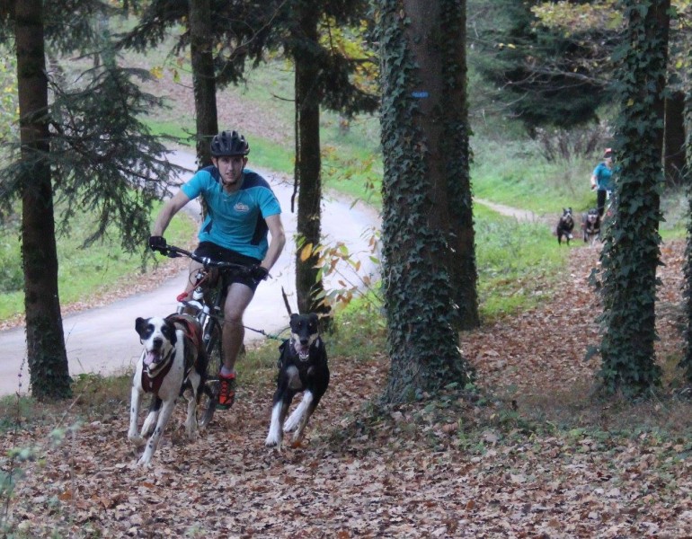 Canivtt (bikejoring) - VTT avec son chien