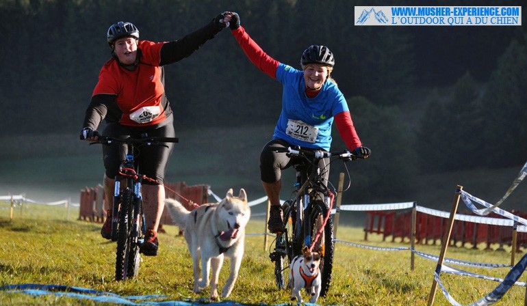 Du canivtt avec un husky sibérien et un jack russel