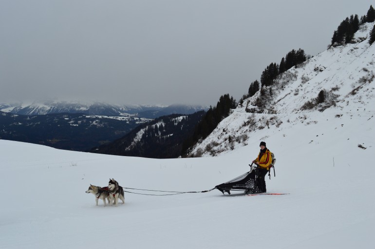 joux plane 17_01_15 (70)