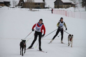Ski Joering - ski de fond avec son chien