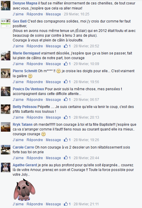 commentaires