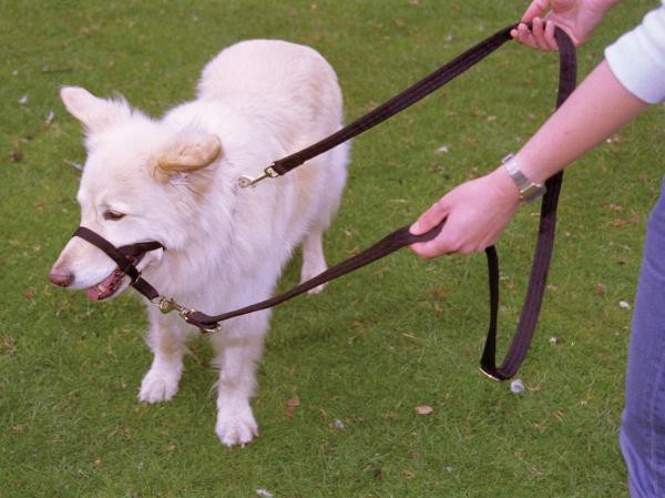 SIBOTER Harnais Anti Traction pour Chien, Réfléchissant, avec