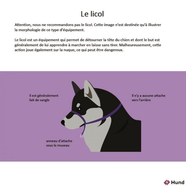 Harnais Halti anti-traction pour chiens 