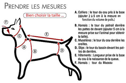 Taille d'un harnais pour chien