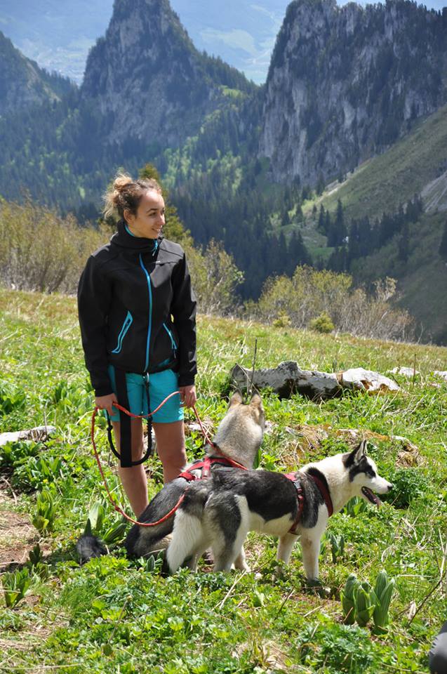 Canirando ou cani randonnée, des balades avec son chien