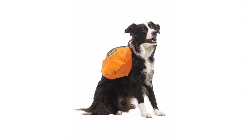 Sac à dos pour chien, Approach pack