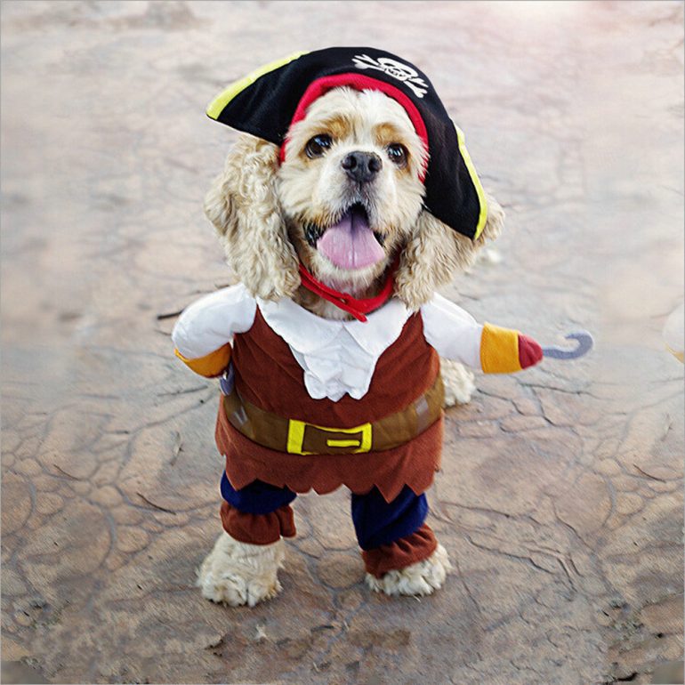 costume-chien-pirate-deguisement