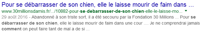 se-debarrasser-de-son-chien-mourir-faim