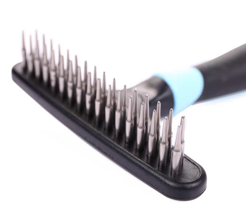brosse a chien etrille rateau peigne