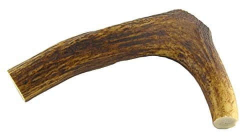 EUROHUNT Sifflet en bois de cerf pour chien – longueur : env. 8 – 11 cm -  Beige
