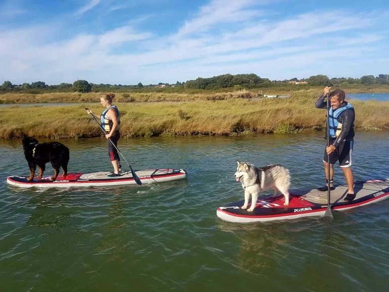 paddle board husky